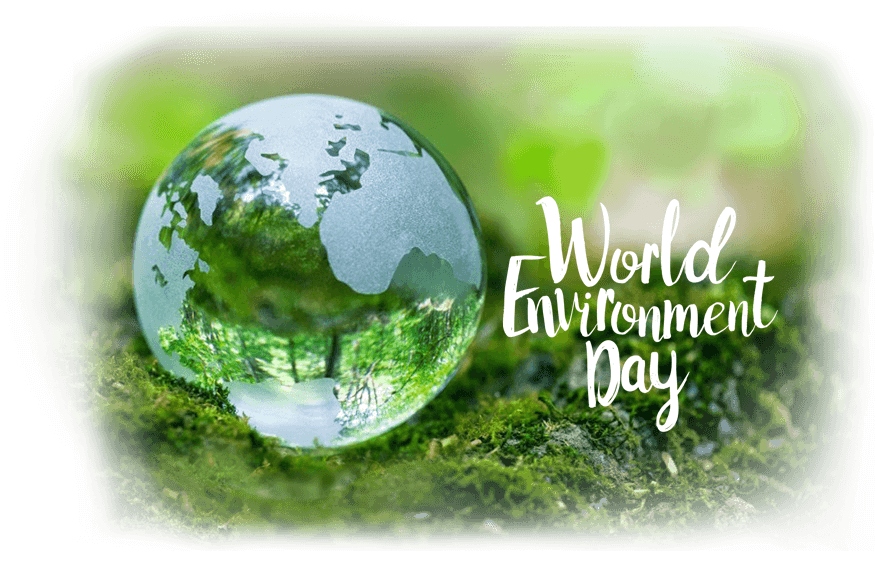 Happy World Environment Day 17