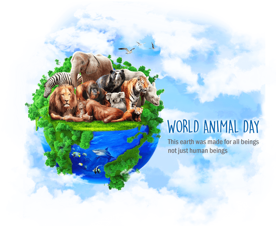 world animal day 2017