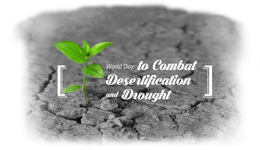 combatting desertification day news
