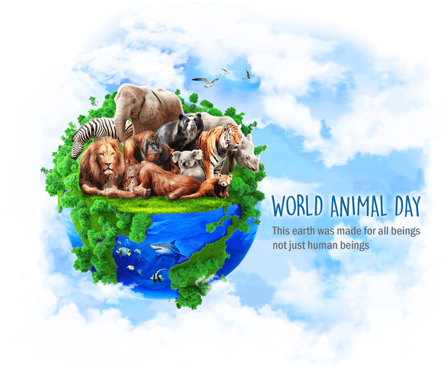 World Animal Day 2017